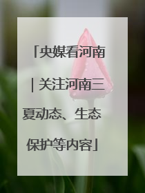 央媒看河南｜关注河南三夏动态、生态保护等内容