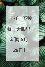 好一多领鲜｜天眼早新闻 5月28日