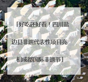 好吃还好看！四川盐边县非遗代表性项目亮相成都国际非遗节