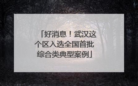 好消息！武汉这个区入选全国首批综合类典型案例