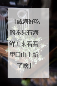 威海好吃的不只有海鲜！来看看里口山上新了啥