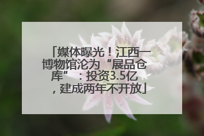 媒体曝光！江西一博物馆沦为“展品仓库”：投资3.5亿，建成两年不开放