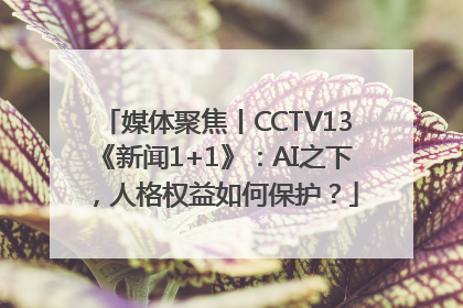 媒体聚焦丨CCTV13《新闻1+1》：AI之下，人格权益如何保护？