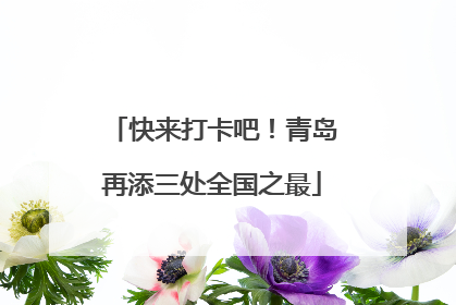 快来打卡吧！青岛再添三处全国之最