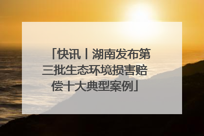快讯丨湖南发布第三批生态环境损害赔偿十大典型案例