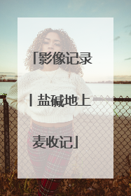 影像记录丨盐碱地上麦收记