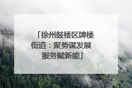 徐州鼓楼区牌楼街道：聚势谋发展 服务赋新能