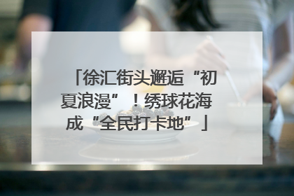 徐汇街头邂逅“初夏浪漫”！绣球花海成“全民打卡地”