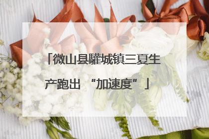 微山县驩城镇三夏生产跑出 “加速度”