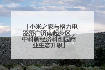 小米之家与格力电器落户济南起步区，中科新经济科创园商业生态升级
