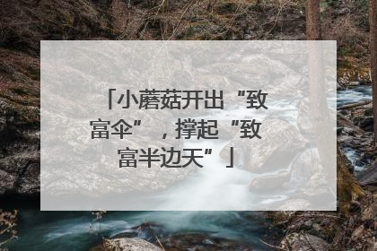 小蘑菇开出“致富伞”，撑起“致富半边天”