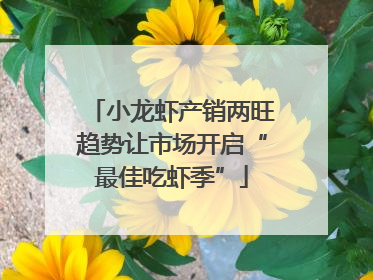 小龙虾产销两旺趋势让市场开启“最佳吃虾季”