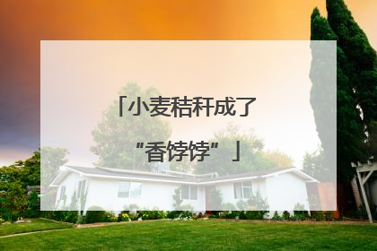 小麦秸秆成了“香饽饽”