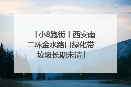 小8跑街丨西安南二环金水路口绿化带垃圾长期未清