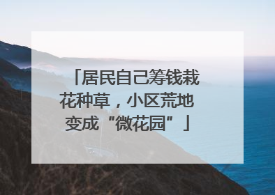 居民自己筹钱栽花种草，小区荒地变成“微花园”