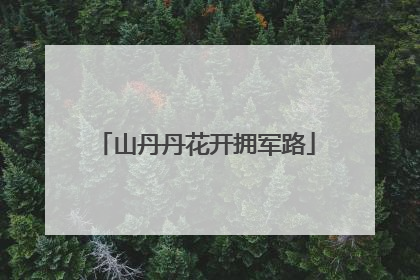 山丹丹花开拥军路