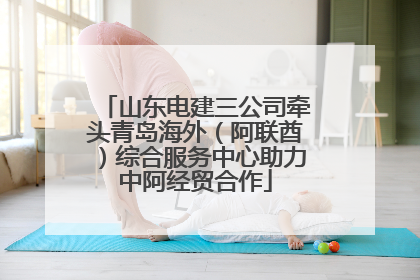 山东电建三公司牵头青岛海外（阿联酋）综合服务中心助力中阿经贸合作