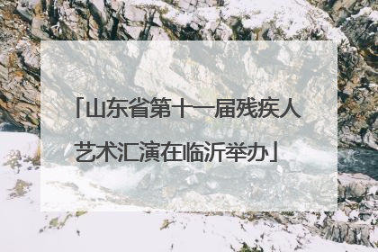 山东省第十一届残疾人艺术汇演在临沂举办