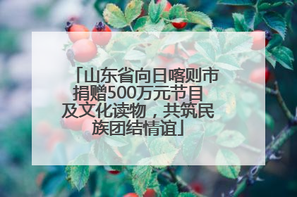 山东省向日喀则市捐赠500万元节目及文化读物，共筑民族团结情谊
