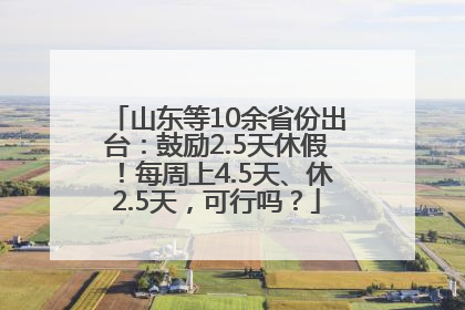 山东等10余省份出台：鼓励2.5天休假！每周上4.5天、休2.5天，可行吗？