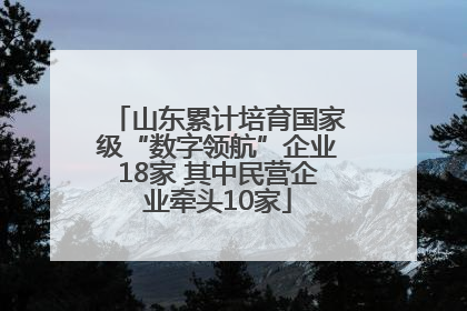 山东累计培育国家级“数字领航”企业18家 其中民营企业牵头10家