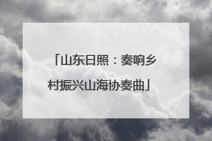 山东日照：奏响乡村振兴山海协奏曲