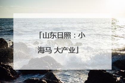 山东日照：小海马 大产业