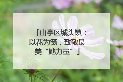 山亭区城头镇：以花为笺，致敬最美“她力量”