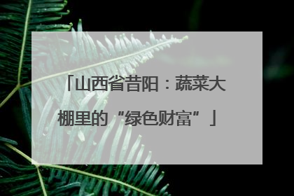 山西省昔阳：蔬菜大棚里的“绿色财富”