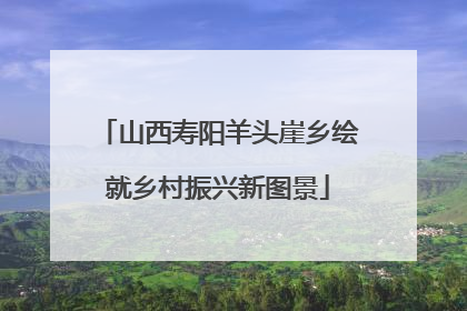 山西寿阳羊头崖乡绘就乡村振兴新图景
