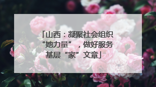山西：凝聚社会组织“她力量”，做好服务基层“家”文章
