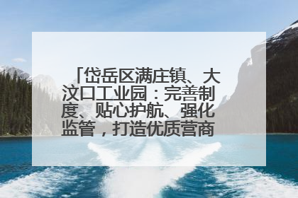 岱岳区满庄镇、大汶口工业园：完善制度、贴心护航、强化监管，打造优质营商“强磁场”
