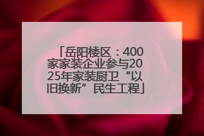 岳阳楼区：400家家装企业参与2025年家装厨卫“以旧换新”民生工程