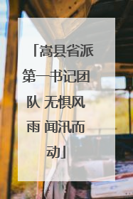 嵩县省派第一书记团队 无惧风雨 闻汛而动