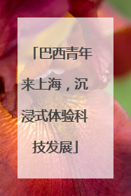 巴西青年来上海，沉浸式体验科技发展