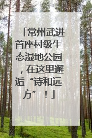 常州武进首座村级生态湿地公园，在这里邂逅“诗和远方”！