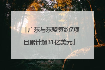 广东与东盟签约7项目累计超31亿美元
