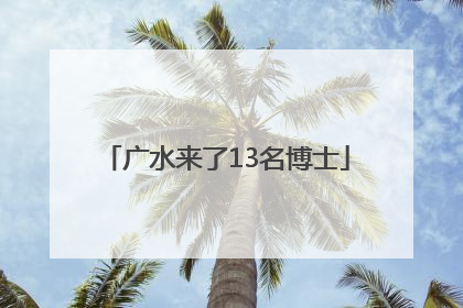 广水来了13名博士
