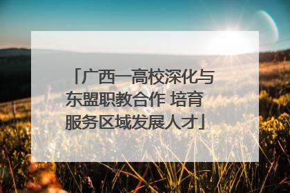 广西一高校深化与东盟职教合作 培育服务区域发展人才