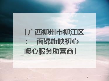 广西柳州市柳江区：一面锦旗映初心 暖心服务助营商