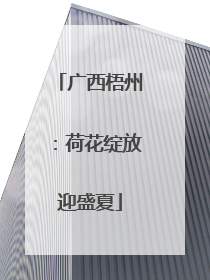 广西梧州：荷花绽放迎盛夏