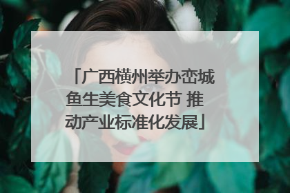 广西横州举办峦城鱼生美食文化节 推动产业标准化发展