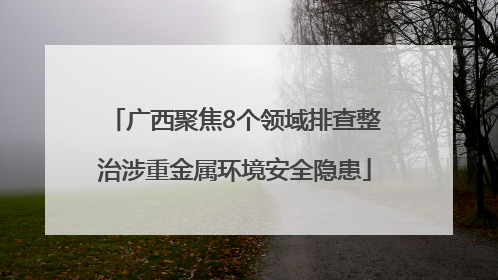 广西聚焦8个领域排查整治涉重金属环境安全隐患