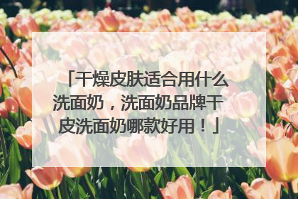 干燥皮肤适合用什么洗面奶，洗面奶品牌干皮洗面奶哪款好用！
