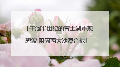 干涸半世纪的青土湖重现碧波 阻隔两大沙漠合拢