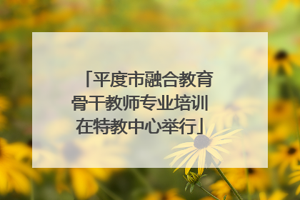 平度市融合教育骨干教师专业培训在特教中心举行