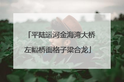 平陆运河金海湾大桥左幅桥面格子梁合龙