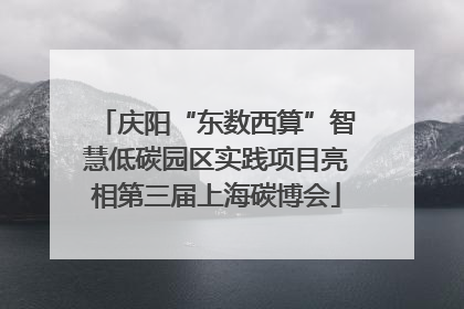 庆阳“东数西算”智慧低碳园区实践项目亮相第三届上海碳博会
