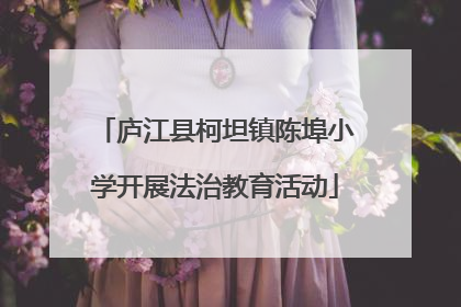 庐江县柯坦镇陈埠小学开展法治教育活动