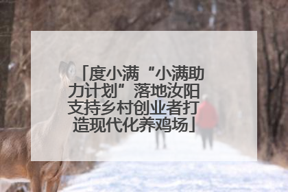 度小满“小满助力计划”落地汝阳支持乡村创业者打造现代化养鸡场